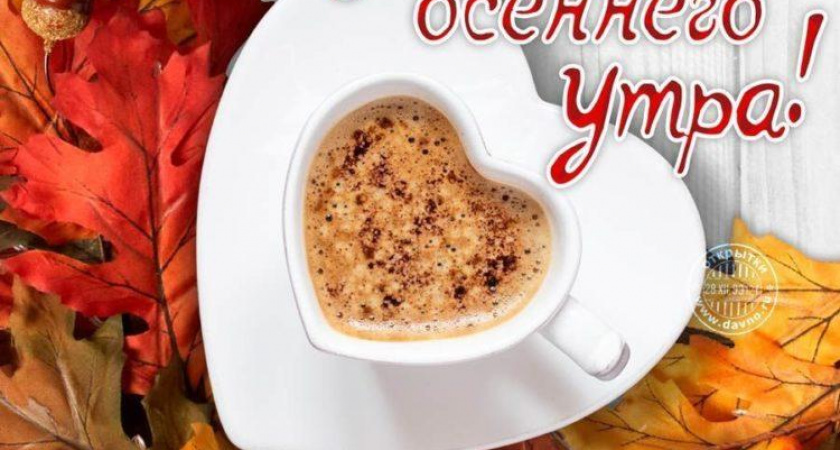 100 самых лучших картинок 🥝 с пожеланиями хорошего осеннего дня