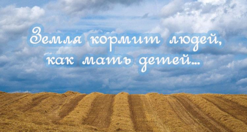 Пословицы про землю русскую 🥝 50 самых известных поговорок