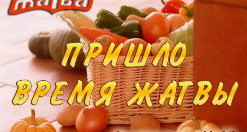 Осень стихи 🥝 классиков, красивый стих, тексты писателей