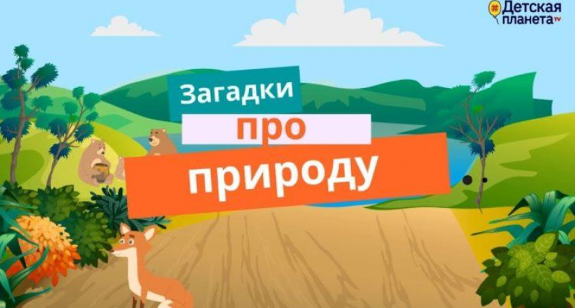 Загадки про природу 🥝 40 самых лучших головоломок на русском