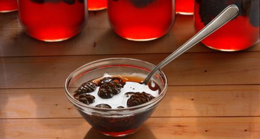 Варенье из шишек сосны: оригинальный вкус, лесной аромат и целебные свойства
