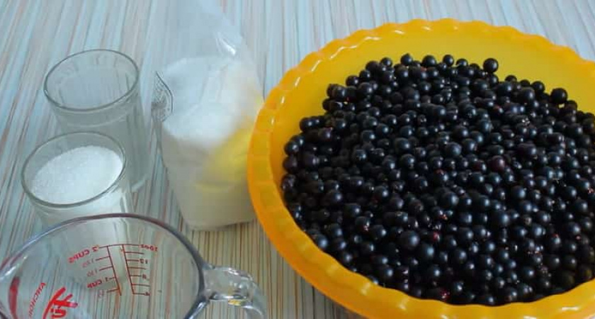 Компот из черной смородины - простой и вкусный рецепт заготовки на зиму