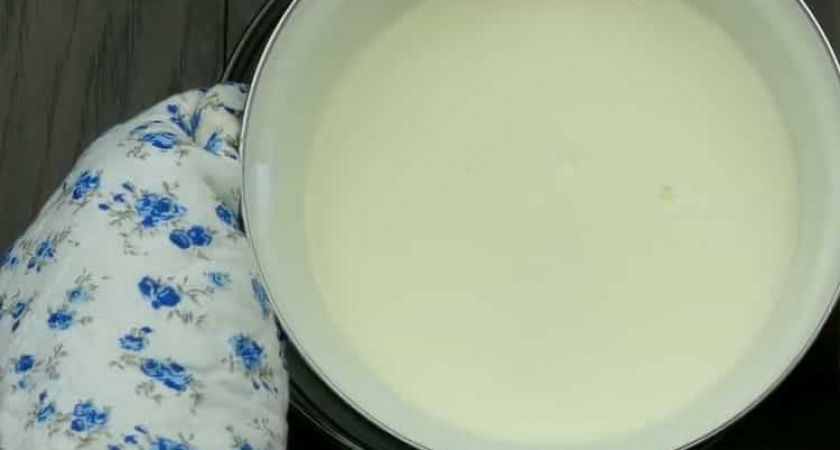 Рецепт приготовления нежного и вкусного мороженого в мороженице 🍨