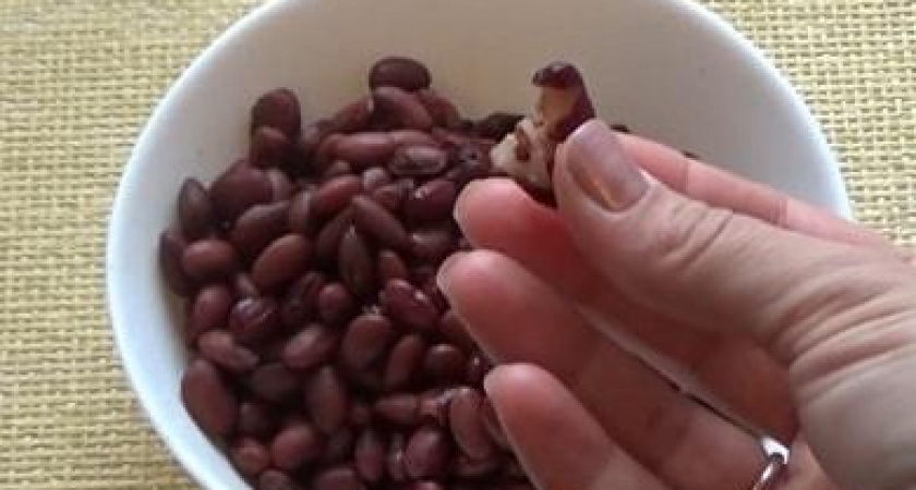 Как варить красную фасоль - быстро и просто 🥗