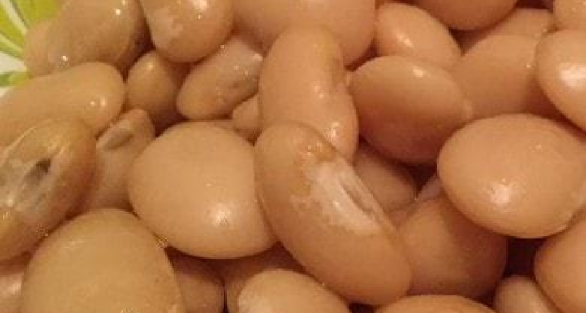 Как правильно варить белую фасоль 🥣