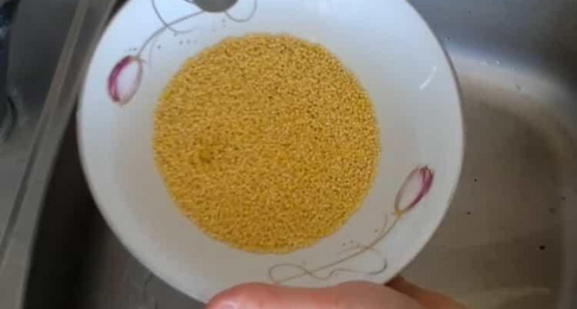 Как научиться готовить вкусную пшенную кашу на молоке в духовке 🥣