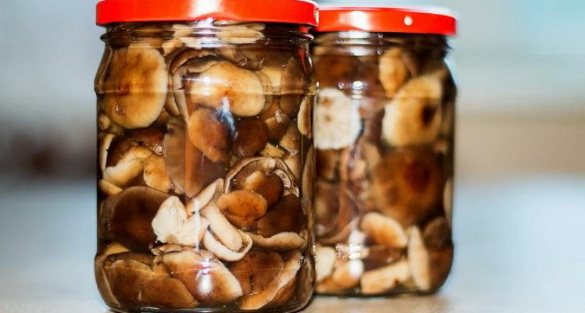Заготовка грибов на зиму - как правильно мариновать 🍄