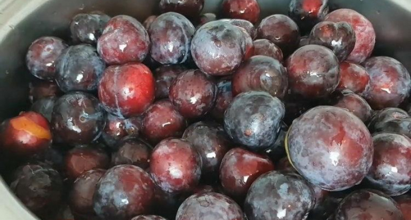 Вкусное варенье из сливы 🥣