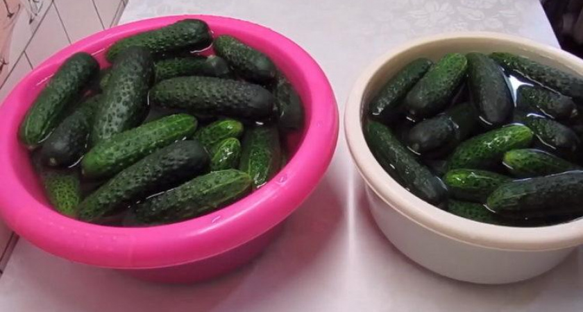 Хрустящие огурцы без стерилизации 🥒