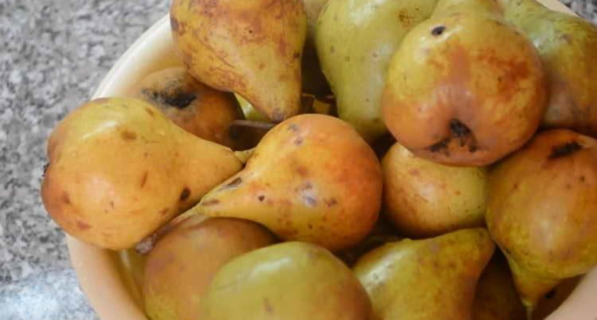 Рецепт янтарного грушевого варенья🍐
