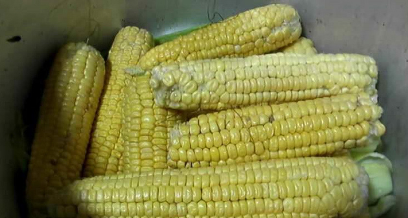 Вкусная консервированная кукуруза - рецепт приготовления в домашних условиях🌽