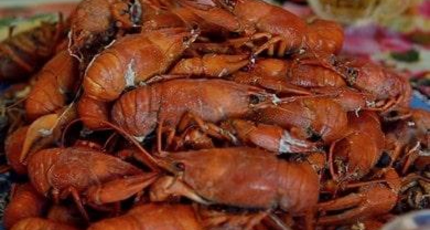 Как правильно сварить раков в домашних условиях 🦀