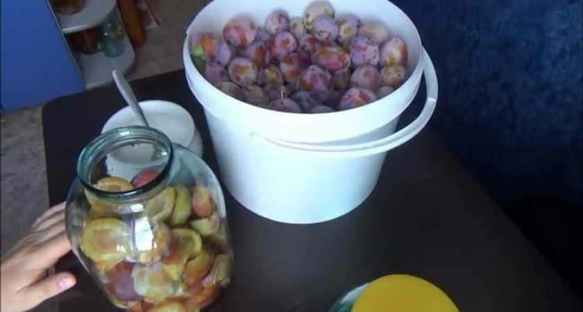 Очень простая наливка из сливы🍷