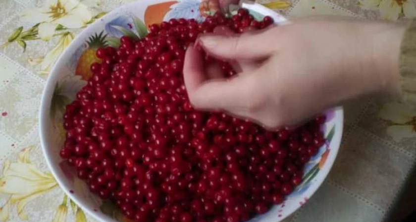 Фото к статье: Лучший рецепт заготовки калины на зиму - варим джем🥣