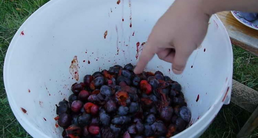 Вкусная сливянка в домашних условиях - простой рецепт🍷