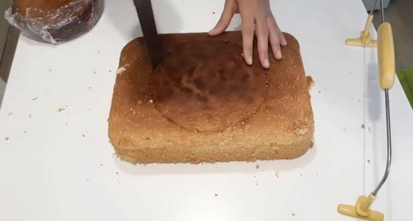 3D торт Мишка для девочки 🥝