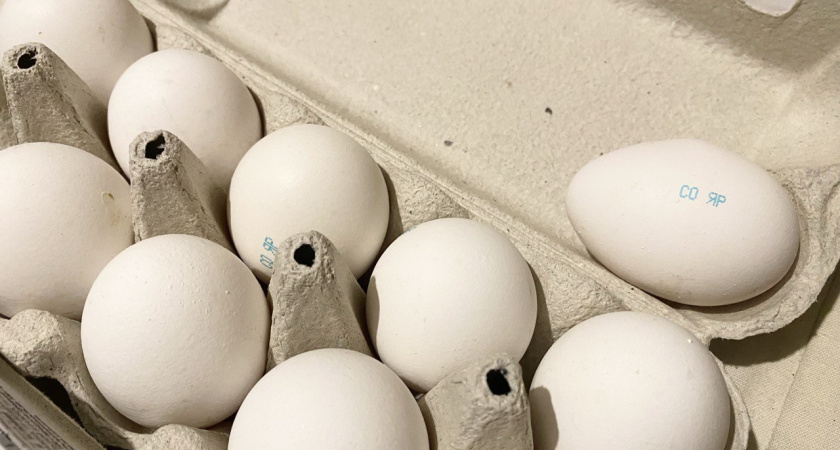 С0, С1 или С2: какие яйца брать для новогодних салатов, а какие — для выпечки