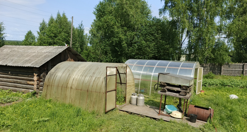 В Союзе дачников рассказали, как построить теплицу мечты для сбора урожая круглый год