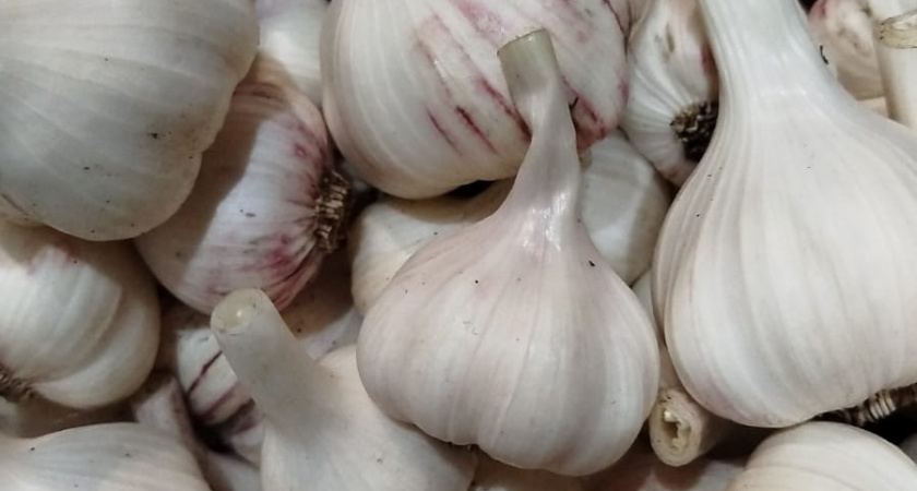 1 правило хранения чеснока - и 2 эти тонкости: до лета как свежий, не отличишь от “молодого”. Не сохнет, не плесневеет