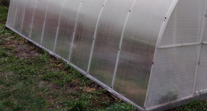 Из чего сделать теплицу вместо поликарбоната без особых затрат: старые ненужные материалы дают отличный результат