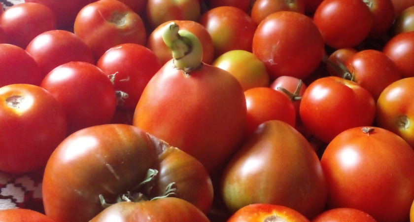 Меня трудно уже удивить сортами помидоров, но эти 2 сорта вне конкуренции - покупаю в новый сезон