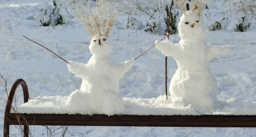 В России запретили использовать несколько слов на ЕГЭ