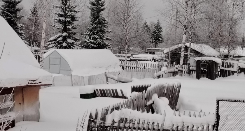 Как убрать снег с теплицы без царапин и повреждений: простой метод вместо лопаты