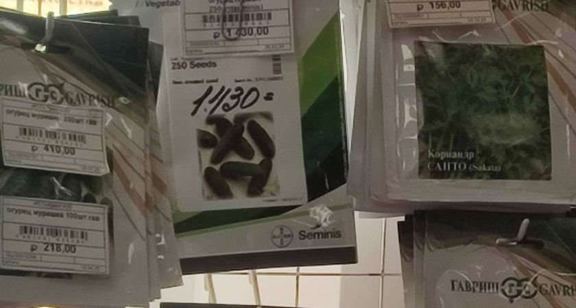 Многие дачники покупают семена неправильно. Правило трёх «П» для выбора семян меня никогда не подводит