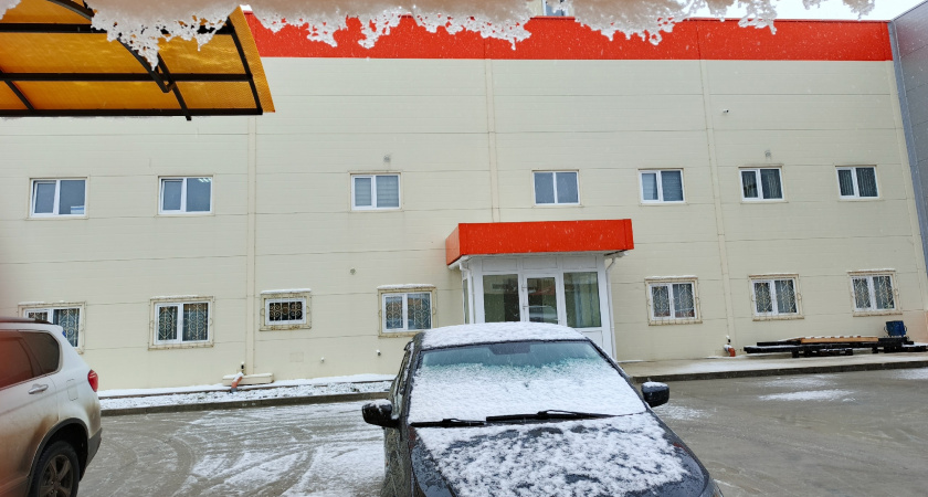 Многодетная россиянка установила предупреждение для водителей на расчищенной парковке