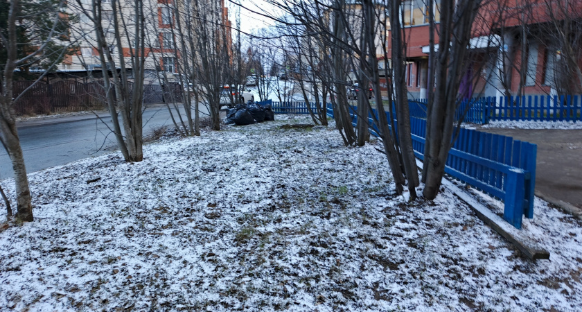 Вильфанд спрогнозировал резкое похолодание до минус 23 градусов в Москве к 30 января