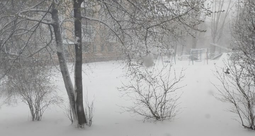 Погода сошла с ума: снежный апокалипсис побил рекорд 1976 года — но через неделю нас ждет +20°С