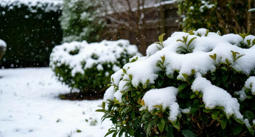 «Катаклизм начнется 31 января и будет 168 часов подряд». Синоптики сказали, к чему готовиться