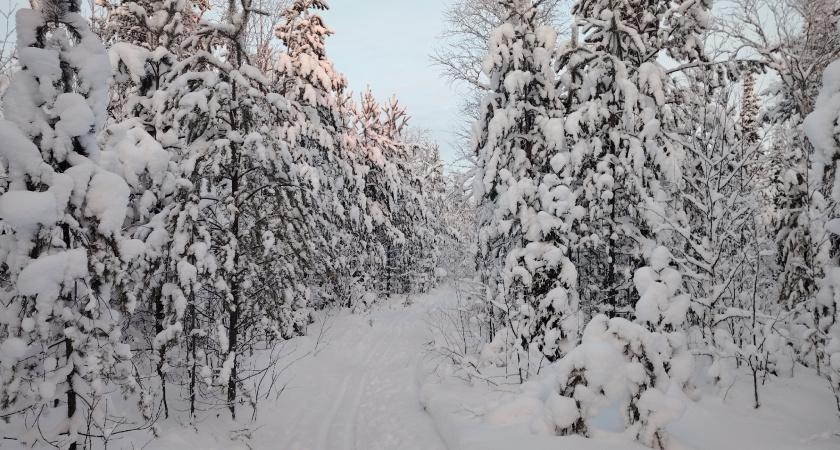«Март даст нам всем прикурить». Синоптики сообщили, к чему готовиться