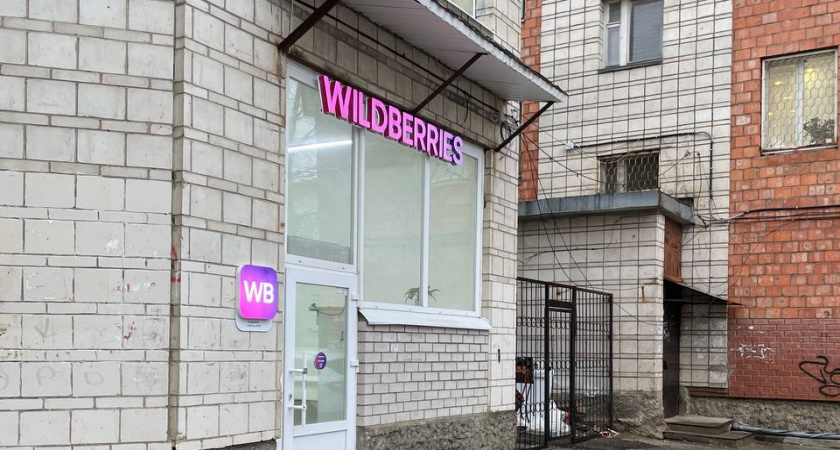 Искала способы сделать дом уютнее без ремонта — и нашла 11 лайфхаков: от живого флорариума до светильника-органайзера