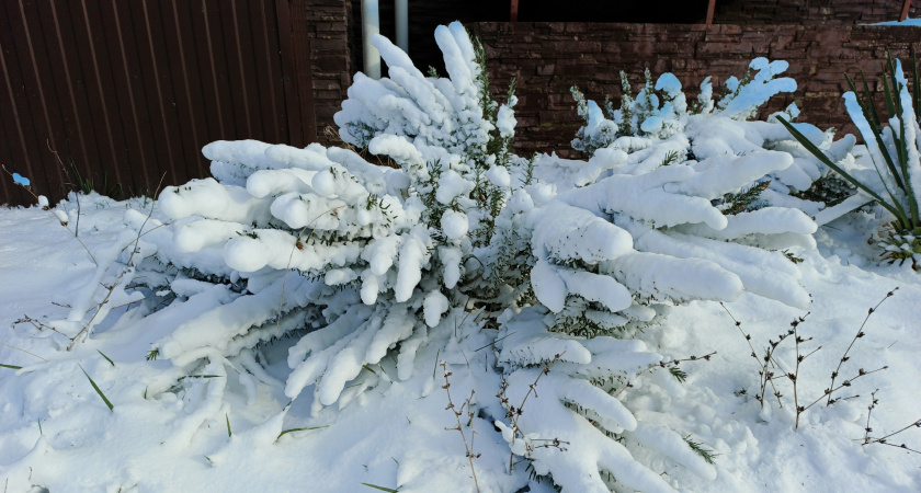 Аномальные морозы накроют Россию в феврале 2026 года