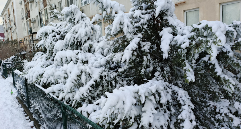 Синоптики сообщили даты мощных снегопадов в феврале