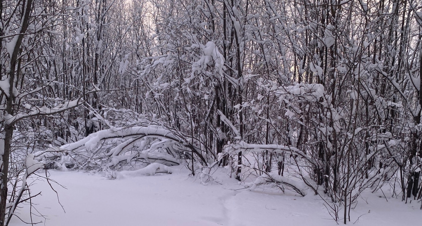 «Март и апрель будут экстремальными». Синоптики сообщили, к чему готовиться