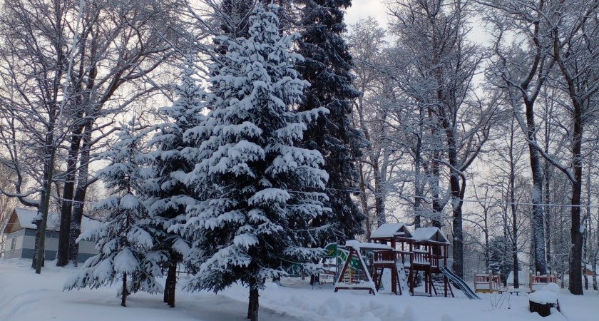 Ночь с 5 на 6 февраля в Петербурге стала самой холодной этой зимой