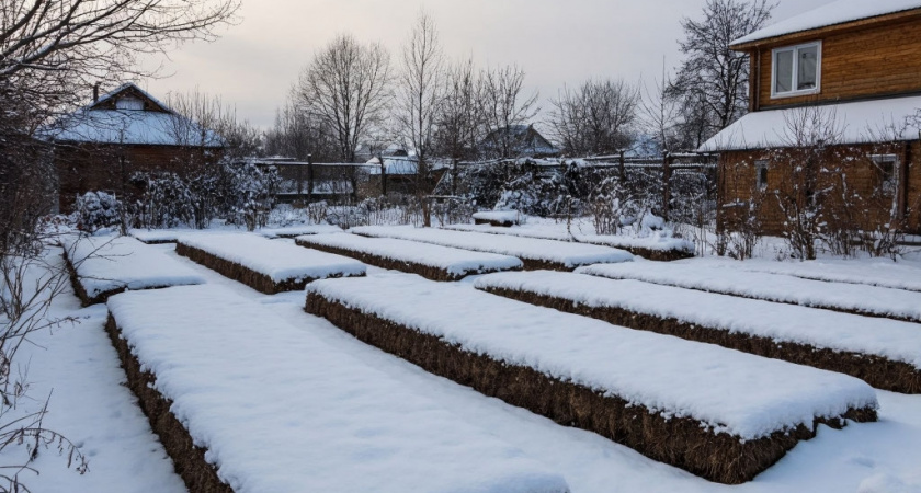 Мощнее золы и перегноя: 1 щепотку на мерзлые грядки — даже самая твердая земля будет мягче пирога 