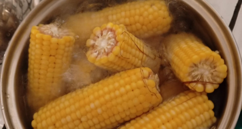 Кукуруза, грибы и кожура от фруктов: какие продукты наш кишечник не переваривает — и зачем их полезно есть регулярно