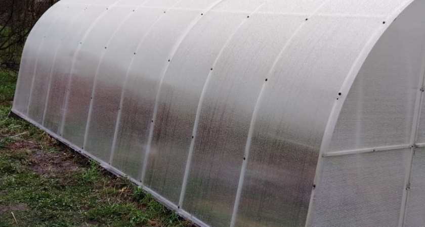 Один прибор в теплице — и снег исчезает: два проверенных метода для защиты поликарбоната