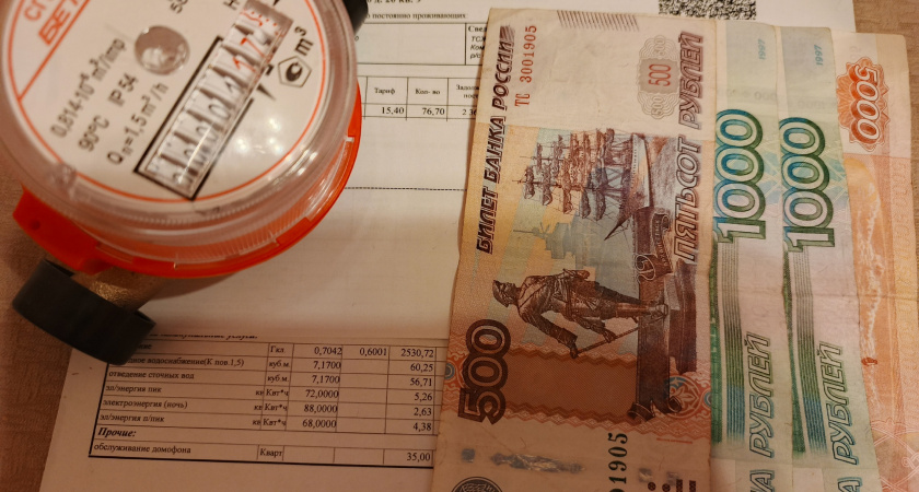 Россиянам рассказали, что грозит, если вовремя не передавать показания электросчетчиков