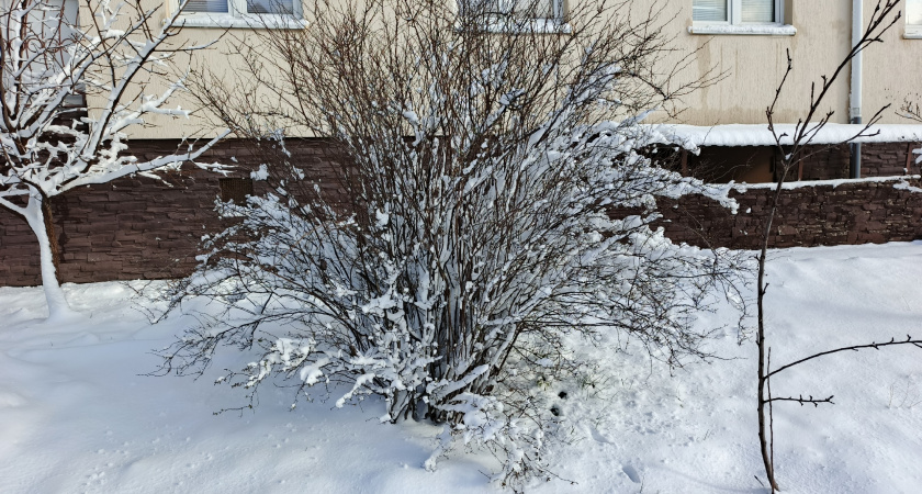 Центральную Россию накроет циклонический вихрь 24 февраля