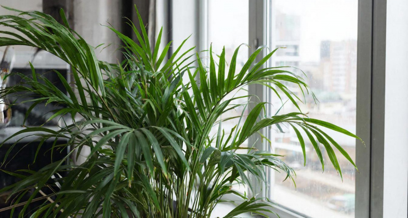 Как же освежить квартиру к весне 2026? 5 простых шагов от организатора пространства