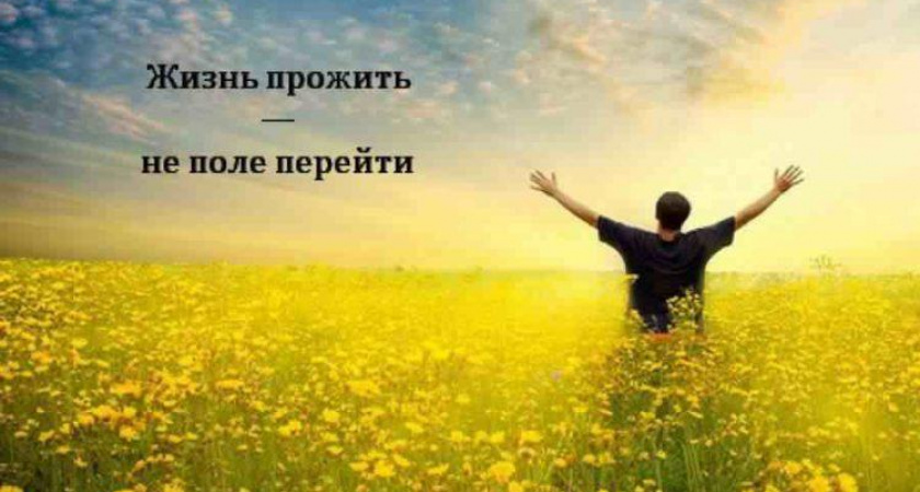 Пословицы про жизнь 🥝 50 самых известных поговорок