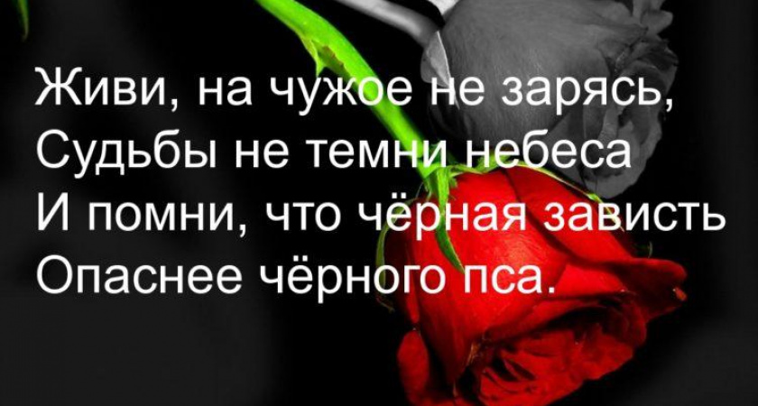 Пословицы о зависти: 50 самых известных поговорок ✍