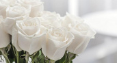 Что означают белые розы