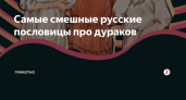 Пословицы о дураках: 50 самых известных поговорок ✍