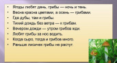 Пословицы о грибах 🥝 50 самых известных поговорок