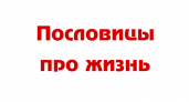 Пословицы о жизни 🥝 50 самых известных поговорок